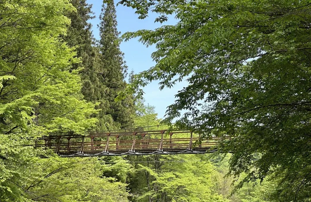 🏞️ 오지라가와 계곡 이미지 4